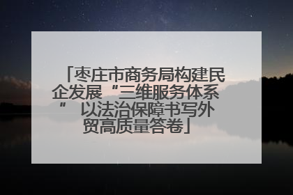 枣庄市商务局构建民企发展“三维服务体系” 以法治保障书写外贸高质量答卷