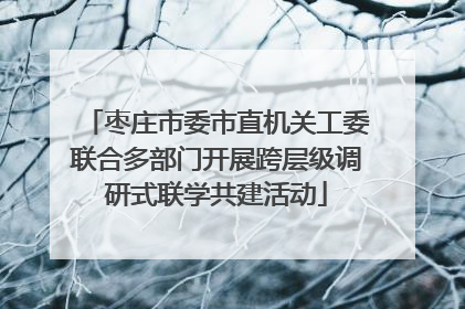 枣庄市委市直机关工委联合多部门开展跨层级调研式联学共建活动