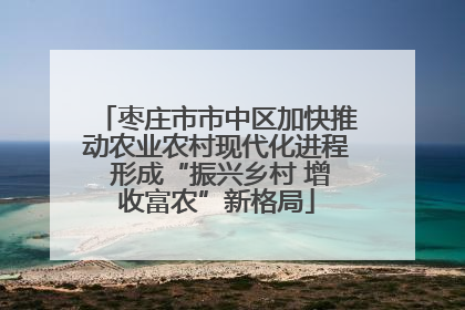 枣庄市市中区加快推动农业农村现代化进程 形成“振兴乡村 增收富农”新格局