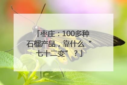 枣庄：100多种石榴产品，靠什么“七十二变”？