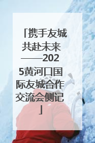 携手友城 共赴未来——2025黄河口国际友城合作交流会侧记