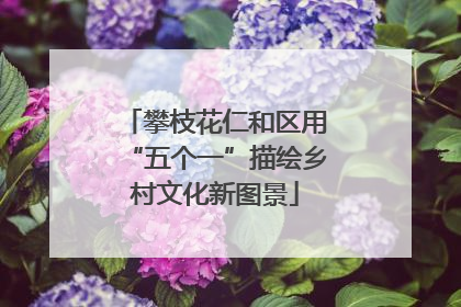 攀枝花仁和区用“五个一”描绘乡村文化新图景
