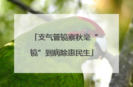 支气管镜察秋毫“镜”到病除惠民生