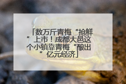 数万斤青梅“抢鲜”上市！成都大邑这个小镇靠青梅“酿出”亿元经济