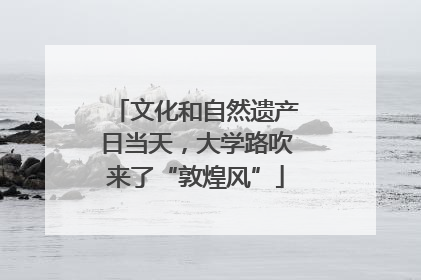 文化和自然遗产日当天，大学路吹来了“敦煌风”