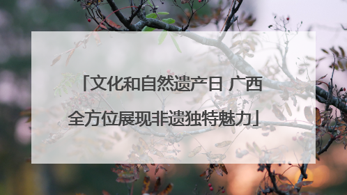 文化和自然遗产日 广西全方位展现非遗独特魅力