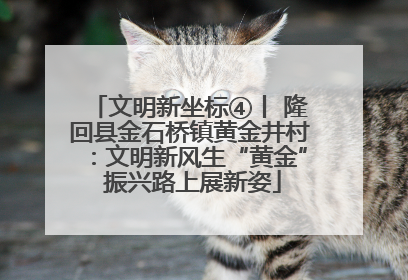 文明新坐标④丨 隆回县金石桥镇黄金井村：文明新风生“黄金” 振兴路上展新姿