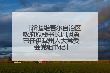 新疆维吾尔自治区政府原秘书长周旭勇已任伊犁州人大常委会党组书记