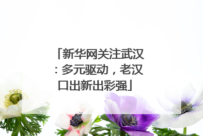 新华网关注武汉：多元驱动，老汉口出新出彩强