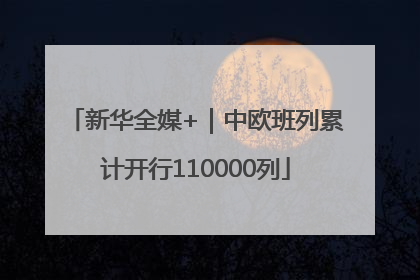 新华全媒+｜中欧班列累计开行110000列