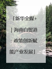 新华全媒+｜海南自贸港：政策创新赋能产业发展