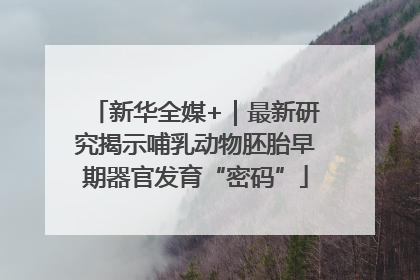 新华全媒+｜最新研究揭示哺乳动物胚胎早期器官发育“密码”