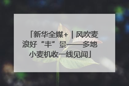 新华全媒+｜风吹麦浪好“丰”景——多地小麦机收一线见闻