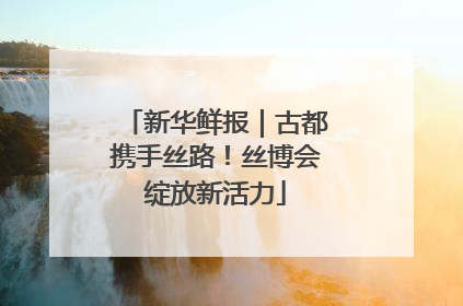 新华鲜报｜古都携手丝路！丝博会绽放新活力