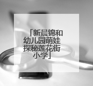 新晨锦和幼儿园萌娃探秘莲花街小学