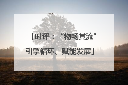 时评：“物畅其流”引擎循环、赋能发展