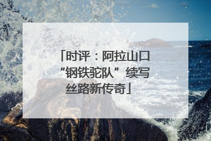 时评：阿拉山口“钢铁驼队”续写丝路新传奇