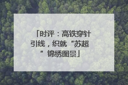 时评：高铁穿针引线，织就“苏超”锦绣图景