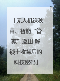无人机送秧苗、智能“管家”巡田 解锁丰收背后的科技密码