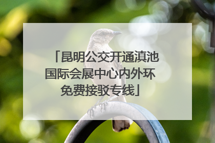 昆明公交开通滇池国际会展中心内外环免费接驳专线