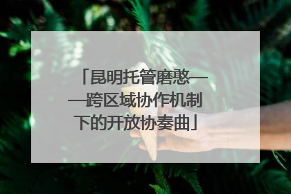 昆明托管磨憨——跨区域协作机制下的开放协奏曲