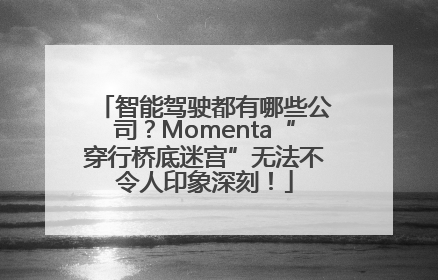 智能驾驶都有哪些公司？Momenta“穿行桥底迷宫”无法不令人印象深刻！