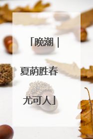 晚潮｜夏荫胜春尤可人