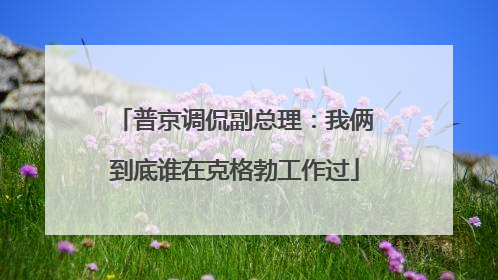 普京调侃副总理：我俩到底谁在克格勃工作过