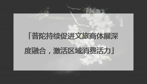普陀持续促进文旅商体展深度融合，激活区域消费活力