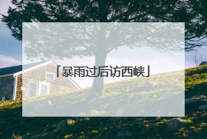 暴雨过后访西峡