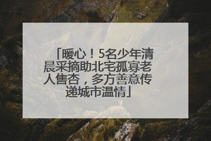 暖心！5名少年清晨采摘助北宅孤寡老人售杏，多方善意传递城市温情