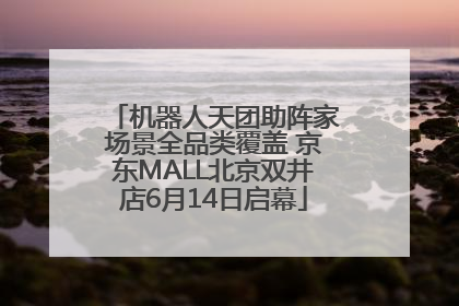 机器人天团助阵家场景全品类覆盖 京东MALL北京双井店6月14日启幕