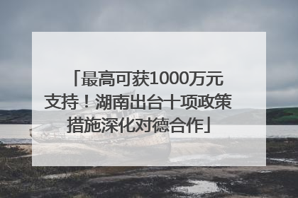 最高可获1000万元支持！湖南出台十项政策措施深化对德合作