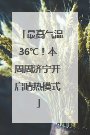 最高气温36℃！本周周济宁开启晴热模式