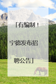 有编制！宁德发布招聘公告
