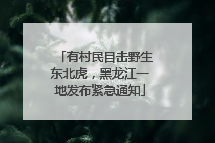 有村民目击野生东北虎，黑龙江一地发布紧急通知