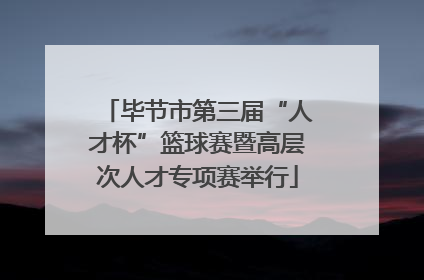 毕节市第三届“人才杯”篮球赛暨高层次人才专项赛举行