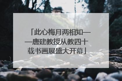 此心梅月两相知——唐建教授从教四十载书画展盛大开幕