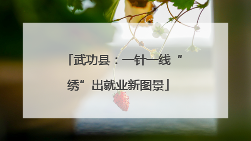 武功县：一针一线“绣”出就业新图景
