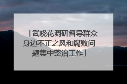 武晓花调研督导群众身边不正之风和腐败问题集中整治工作