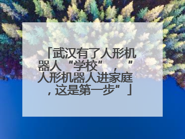 武汉有了人形机器人“学校”，“人形机器人进家庭，这是第一步”