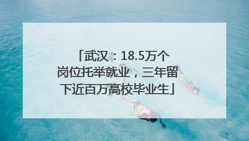 武汉：18.5万个岗位托举就业，三年留下近百万高校毕业生