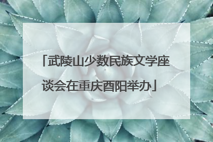 武陵山少数民族文学座谈会在重庆酉阳举办