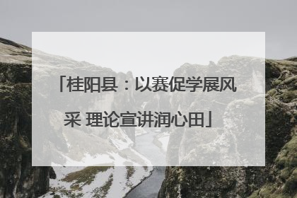 桂阳县：以赛促学展风采 理论宣讲润心田