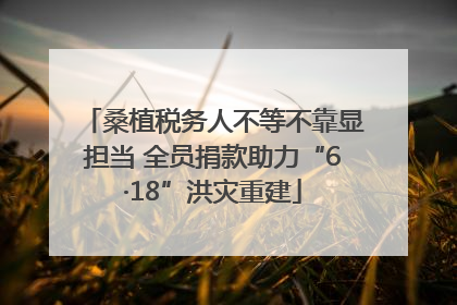桑植税务人不等不靠显担当 全员捐款助力“6·18”洪灾重建