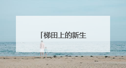 梯田上的新生：云和社区矫正五载耕耘路