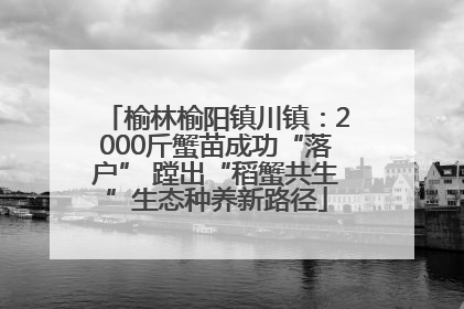 榆林榆阳镇川镇：2000斤蟹苗成功“落户” 蹚出“稻蟹共生”生态种养新路径