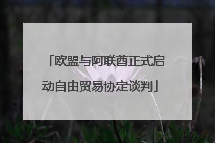 欧盟与阿联酋正式启动自由贸易协定谈判