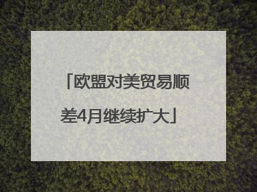 欧盟对美贸易顺差4月继续扩大