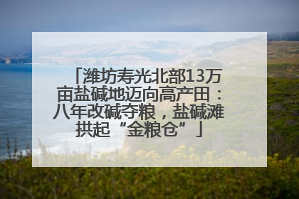 潍坊寿光北部13万亩盐碱地迈向高产田：八年改碱夺粮，盐碱滩拱起“金粮仓”
